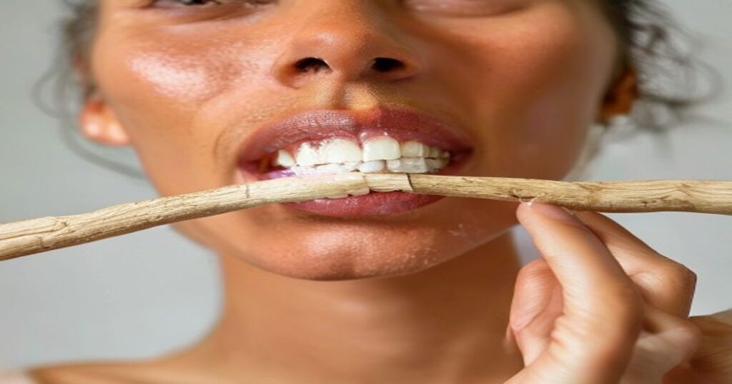 comment utiliser un siwak